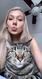 How to find a lost cat in Delaware, Ohio?