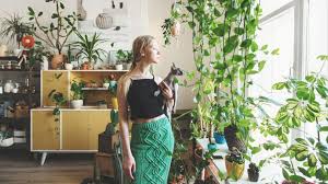 No deberían faltar las plantas en ninguna casa. Ideas Originales Para Decorar Tu Casa Con Plantas Levante Emv