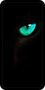 Follow the vibe and change your wallpaper every day! Black Panther Animal Wallpaper Luxury Super 4k Wallpaper For Black Panther Fur Android Apk Of Animal Wallpaper Black Panther Black Wallpaper