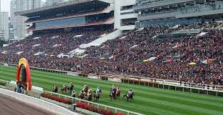 sha tin racecourse sha tin racecourse hong kong