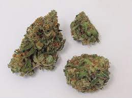With treat williams, udo kier, lori loughlin, blake clark. Critical Mass Why Colorado Tokers Love This Strain Westword