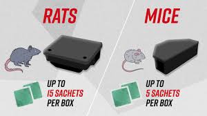 Need to hire an exterminator? How To Use Deadfast Mouse Rat Killer Plus Sachets Youtube