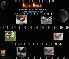 La luna en su giro alrededor de la tierra presenta un aspecto diferente diferente según sea su posición con respecto al sol. Gallos Fase Lunar Venezuela Posts Facebook
