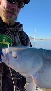 Wyatt with a nice blue cat!