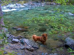 Maybe you would like to learn more about one of these? Camping At Little North Fork Queerbychoice Livejournal