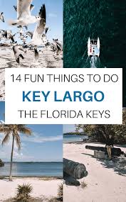 19 Fun Things To Do In Key Largo Florida Keys Don T Miss These Spots In 2020 Key Largo Florida Florida Travel Key Largo