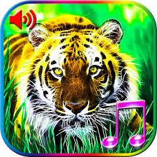No tenemos la intenci�n de infringir algun derecho intelectual leg�timamente adquirido. 3d Animales Sonidos Y Fondos Aplicaciones En Google Play