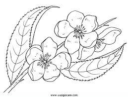 We did not find results for: Fiori Di Pesco Da Colorare Utilizato In Uovo Di Pasqua Paginas Para Colorear De Flores Dibujos Para Colorear Dibujos