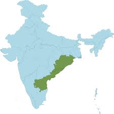 Image result for Platostoma africanum