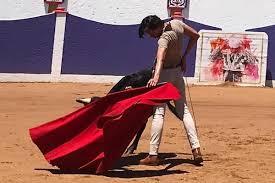 El Dandy tras permitirlo el confinamiento invitó a José Arcila a ensayar el  toreo – TorosenelMundo