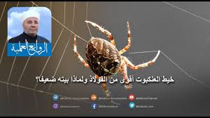 الروائع العلمية الرائعة 008 خيط العنكبوت أقوى من الفولاذ ولماذا بيته ضعيفا موسوعة النابلسي للعلوم الإسلامية
