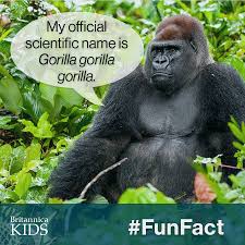 Pin On Fun Facts Britannica Kids