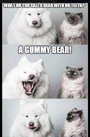 Truetulu What Do You Call A Bear With No Teeth Facebook