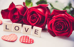 Feel free to use these love rose hd images as a background for your pc, laptop, android phone, iphone or tablet. Romantic Rose Wallpapers Top Free Romantic Rose Backgrounds Wallpaperaccess