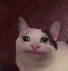 Pin On Cats Crying Pack