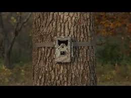 Pdf if you've been looking for a digital game. Bushnell Trophy Cam Aggressor No Glow Youtube