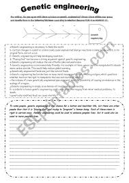 Genetic Engineering Esl Worksheet By Chaymouma In 2020 Genetic Engineering Genetics Engineering