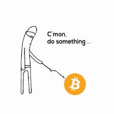 Lets get this stock where it should be! 26 Bitcoin Gif Crypto Gifs Animated Crypto Pics Ideas Cryptocurrency Bitcoin Blockchain