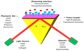 Sambles will clear all you doubts. Micromachines Free Full Text 2d Nanomaterial Based Surface Plasmon Resonance Sensors For Biosensing Applications Html