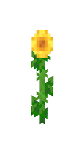 Grass blocks are found all over the world of minecraft. Flowers Minecraft Wiki Fandom