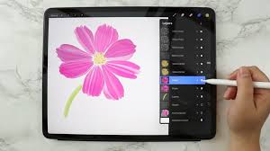 Procreate Tutorial Pink Cosmos Beginner Level Things Unseen Designs Flower Drawing Procreate Ipad Art Drawing For Beginners