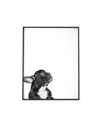 French Bulldog Printable Wall Art Frenchie Nursery Decor Etsy In 2021 Wall Printables Printable Wall Art French Bulldog