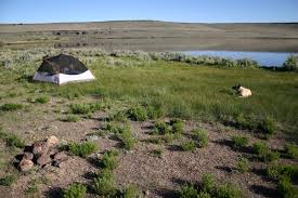 Image result for Little Catnip Spring - Sheldon Refuge Winnemucca NV
