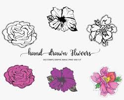 Sep 24, 2020 · simple, elegant and graceful sympathy flowers need not put you out of pocket. Hand Drawn Flowers Example Image Line Art Png Image Transparent Png Free Download On Seekpng