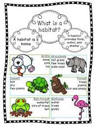 Animal Research Project Booklet By The Dizzy Teacher Teachers Pay Teachers Research Projects Ela Skills Animal Projects