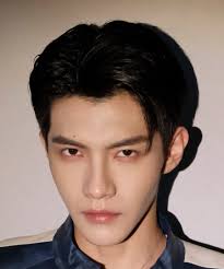 Gao Ming Chen (高铭辰)