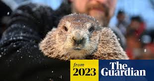 Punxsutawney Phil Sees 6 More Weeks Of Winter