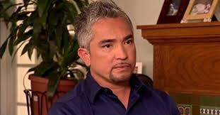 What Happened to Cesar Millan? Is He Really in Jail?