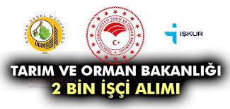 Tarım ve orman bakanlığına bağlı orman genel müdürlüğü (ogm) toplam 2 bin 83 işçi alımı için adaylarda aranacak genel ve özel şartlar ile diğer bilgiler i̇şkur'un açık iş ilanlarında duyurulacak. Basvur Ogm Iskur Uzerinden 2083 Isci Alimi Icin Son Gun Basvuru Formu Ve Sartlari