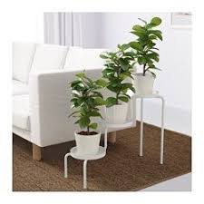 Ikea Us Furniture And Home Furnishings Ikea Plant Stand Ikea Plants Plant Stand Indoor