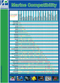 aquarium fish compatibility chart 1000 aquarium ideas