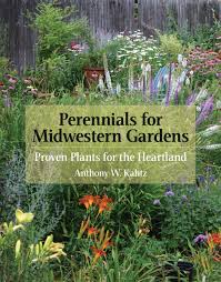 It produces dainty purplish blue flowers from spring into. Perennials For Midwestern Gardens Proven Plants For The Heartland Kahtz Anthony W 9780881928938 Amazon Com Books