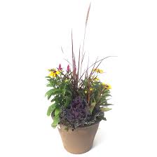 The plain metal planter works well with the elaborate textures of the grass and wire vine, giving the container garden a modern look. Assorted Fall Arrangement Planter 13 In 964823 Rona