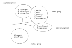 Lisa Grönroos Quantitative And Qualitative Characterization