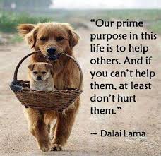 Image result for helping others