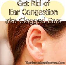 Get Rid Of Ear Congestion Aka Clogged Ears Homesteading The Homestead Survival Com Please Share This Pi Clogged Ears Ear Congestion Clogged Ear Remedy