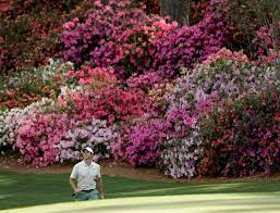 Mike Anthony Magic Of The Masters Resumes At Augusta National Gainesville Times
