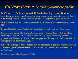 Natuurlijk vernoemd naar rotterdammer martin van waardenberg die met een gele kanarie een pilsje bedoelt. Ppt Grote Rassen Maxi Rassen Powerpoint Presentation Free Download Id 4928685