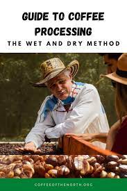 Guide To Coffee Processing The Wet And Dry Method In 2021 Coffee Process Natural Coffee Coffee