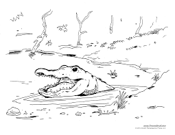 Coloring pages for kids alligator and crocodile coloring pages. Alligator Coloring Pages For Kids