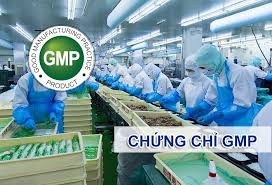 Chứng chỉ GMP về Thực hành sản xuất tốt