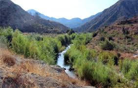 On the street of thompson creek mall and street number is 352. Thompson Creek Campground Bureau Of Land Management