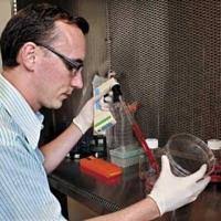 Homegrown: Kalama grad Jon Oyer delves into the mysteries of stem cells