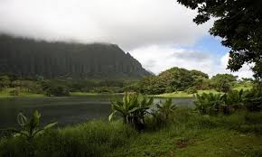 Explore a selection of hoomaluhia botanical gardens, kaneohe vacation rentals, including houses, apartment and condo rentals & more bookable online. Ho Omaluhia Botanical Garden Kaneohe Oahu Hawaii
