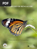 Image result for Stemodiopsis buchananii