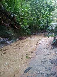 Dengan penuh kesadaran akhirnya aku menjadi wanita simpanan pak toyo di luar pengetahuan ibuku. Hutan Simpan Ayer Hitam Puchong Ayer Hitam Forest Reserve Puchong Mapio Net